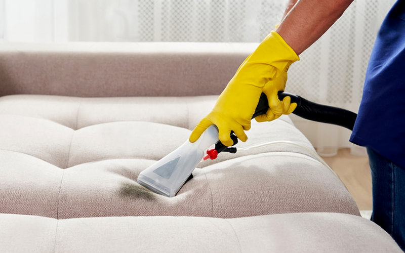 How Professionals Help In Cleaning Your Sofa