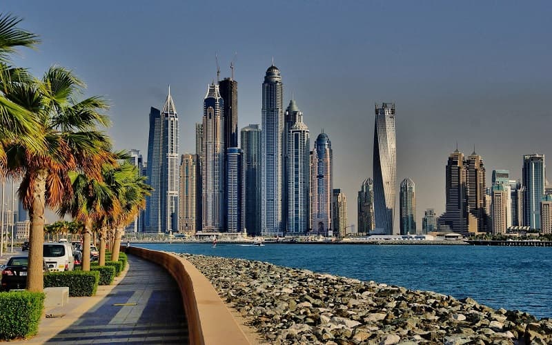 How to Obtain a Free Zone Visa in UAE?